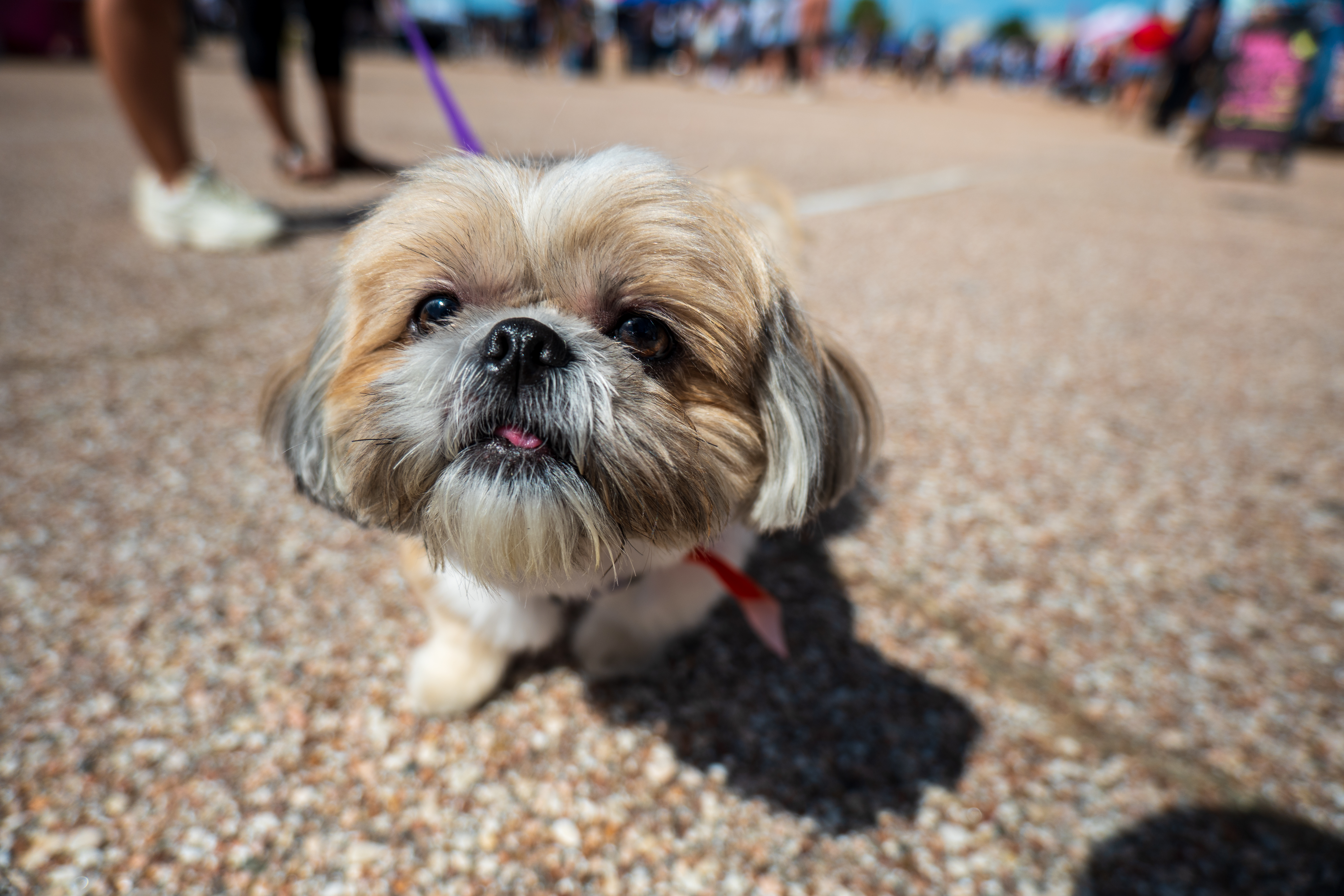 Photography sample 6